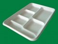 Lunch Tray 2