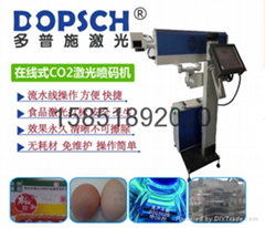 carbon dioxide laser inkjet printer egg marking laser marking machine