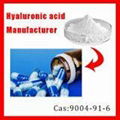 Hyaluronic Acid 1