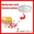 Sodium Hyaluronate 2