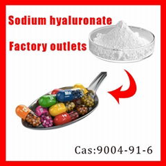 Food Grade Sodium Hyaluronate 
