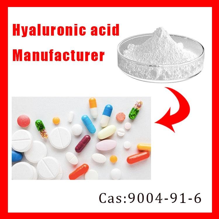 Cosmetic Grade Hyaluronic Acid Powder	