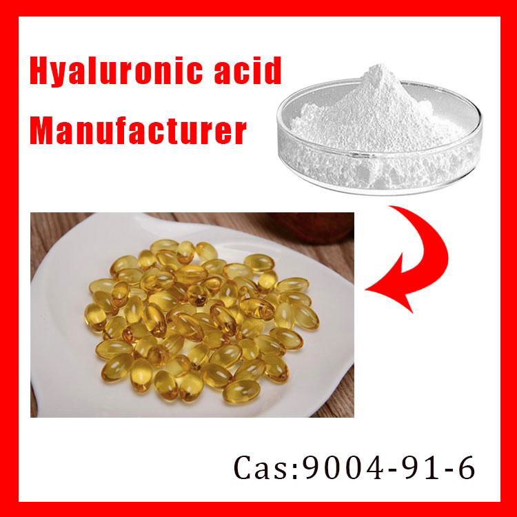 OEM/ODM Hyaluronic Acid