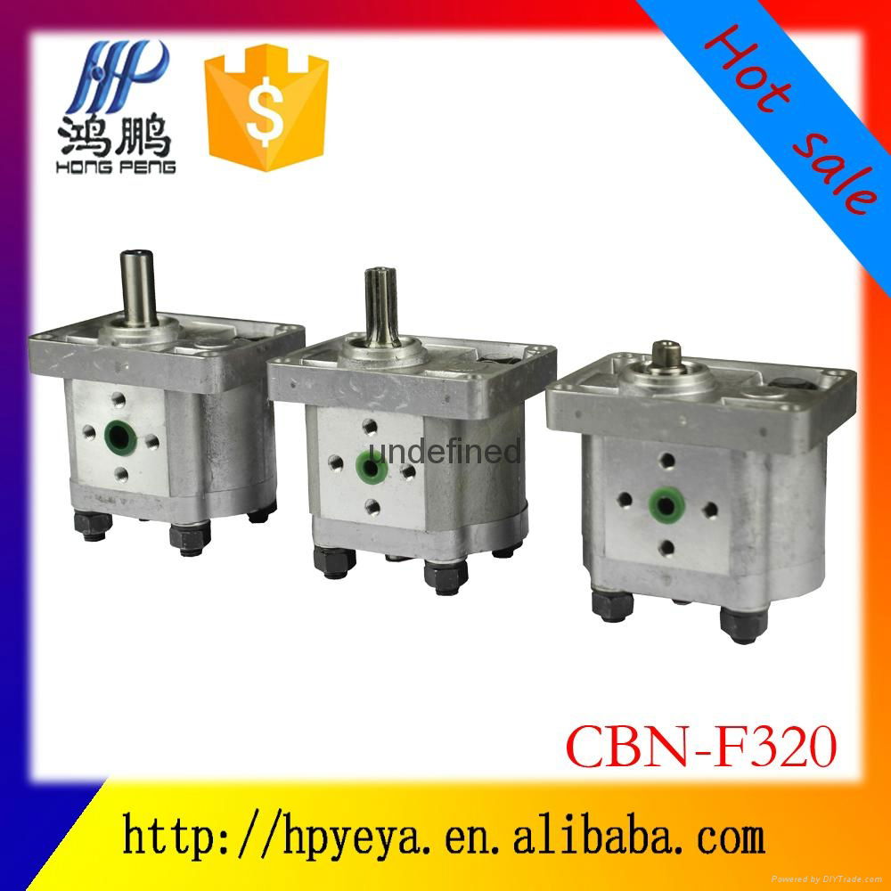 Hydraulic gear pump High pressure oil pump CBN-F304 306   4