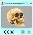 Promotional gift resin skull figure 2