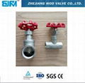 Thread Stainless steel globe valve 1