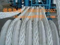 高强涤纶/丙纶混编绳缆船用缆绳