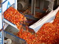 Red Chili Dryer Machine for Mass Production of Food Drying