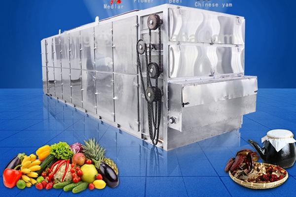 Easy Installation And Maintenance Fruit Dryer Machine