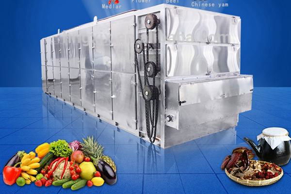 Promotion on Fruit Vegetable Dryer Machine