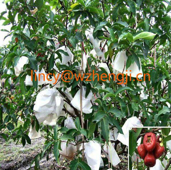 Good quality 100% Polypropylene nonwoven fabric for agriculture