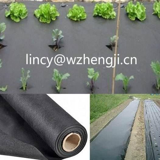 Good quality 100% Polypropylene nonwoven fabric for agriculture 2