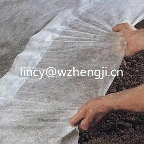 Good quality 100% Polypropylene nonwoven fabric for agriculture 3