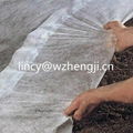 Good quality 100% Polypropylene nonwoven fabric for agriculture 3