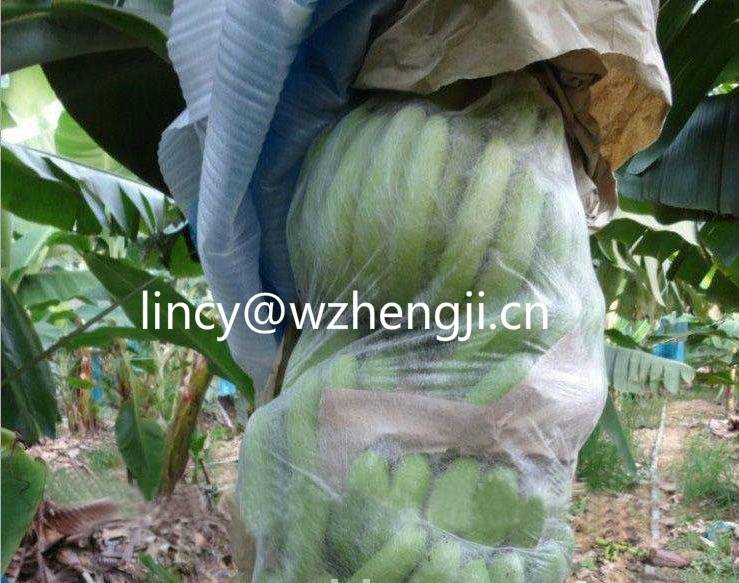 Good quality 100% Polypropylene nonwoven fabric for agriculture 4