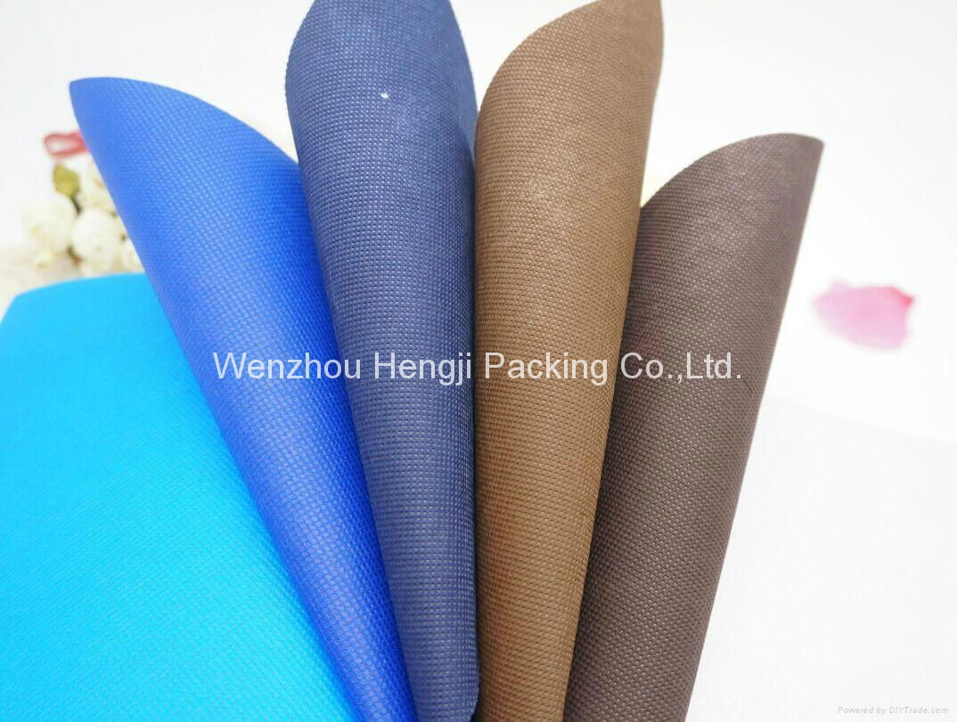 Eco-Friendly PP TNT Nonwoven Fabric Spunbond Non Woven Fabric Raw Materials for  4