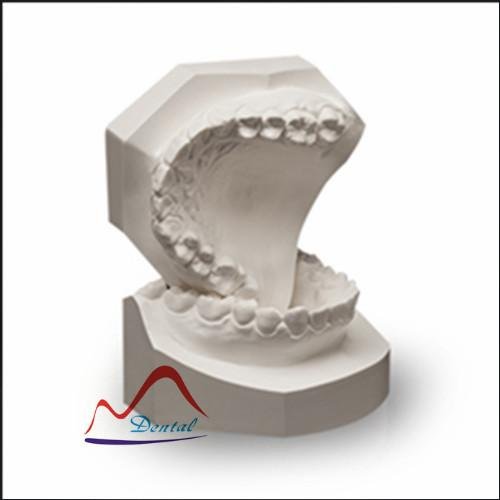 Hand-sculpted Dental Orthodontic Model