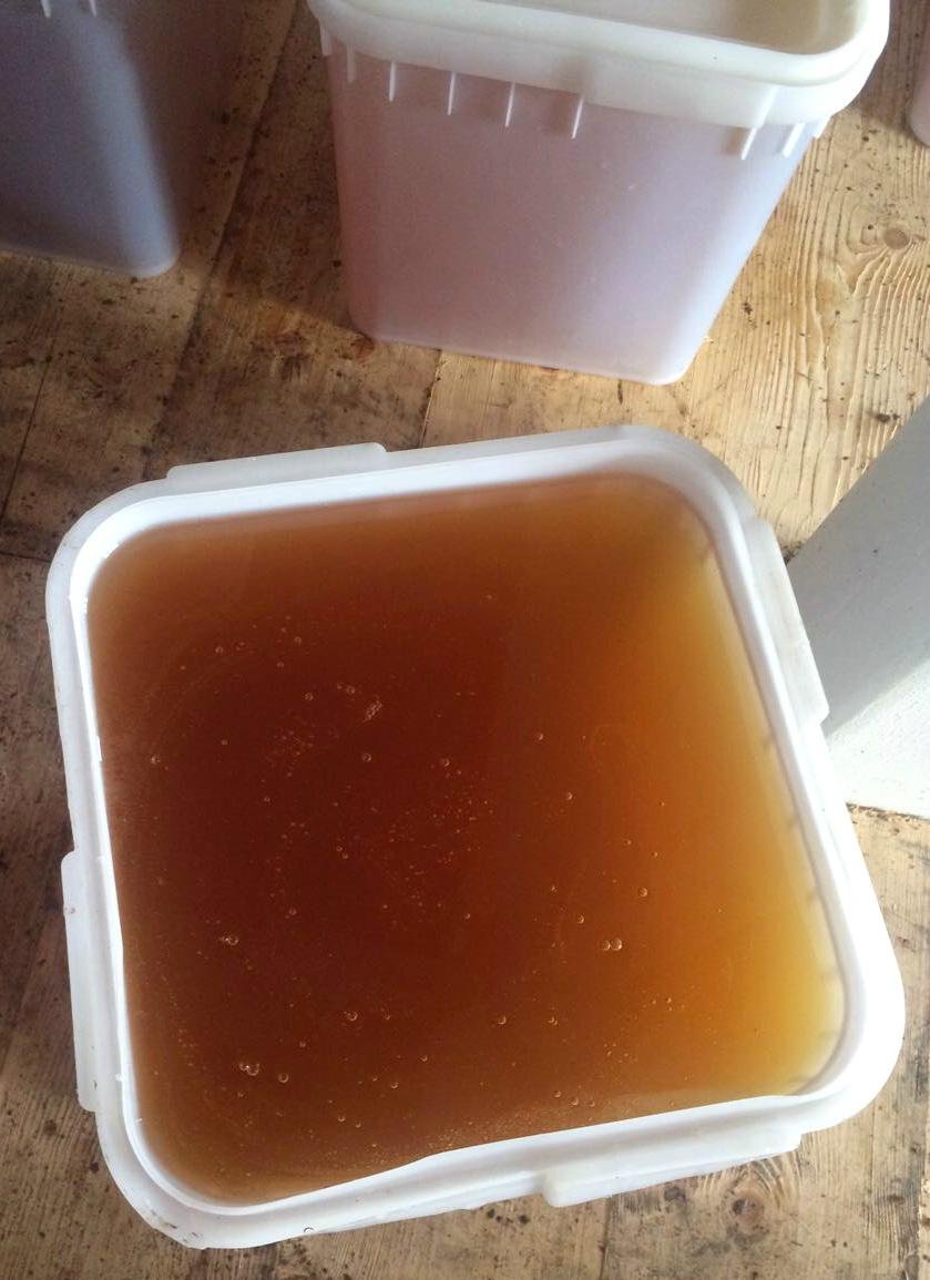 Pure honey Wholesale
