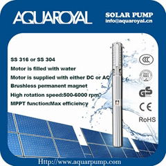 Brushless DC solar  submersible well pump with Stainless steel 316 - 4SP14/4