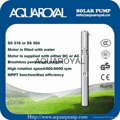 DC Solar Pumps|Permanent Magnet|DC brushless|Solar well pumps-4SP2/5