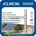 DC Solar Pumps|Permanent Magnet|DC