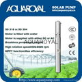 DC Solar Pumps|Permanent Magnet|DC