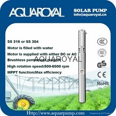 DC Solar Pumps|Permanent Magnet|DC brushless|Solar well pumps-4SP8/3