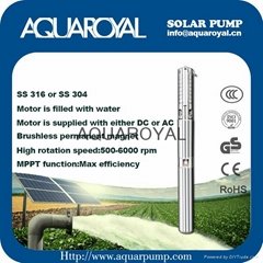 DC Solar Pumps|Permanent Magnet|DC brushless|Solar well pumps-4SP8/5