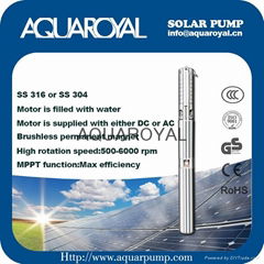 DC Solar Pumps|Permanent Magnet|DC brushless|Solar well pumps-4SP8/7