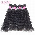 peruvian virgin hair deep curly human