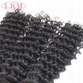 peruvian virgin hair deep curly human hair bundles 5