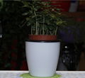 plastic flower pots 3