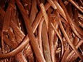 Copper Wire 1