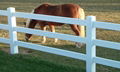 3 Rail Vinyl Horse Fence 1