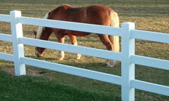 3 Rail Vinyl Horse Fence