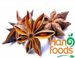 Star Anise for Wholesaler