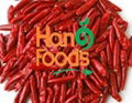 Hot Selling Dried Chili