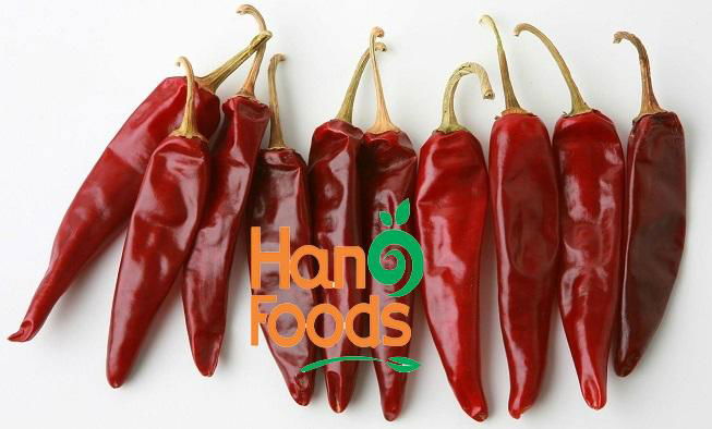 Hot Selling Dried Chili 2