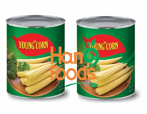 Competitive PriceCanned Baby Corn 3