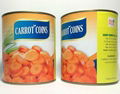 Canned Natural Carrot Coins from Vietnam