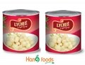 The Best Price Canned Lychee  2