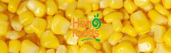 High Quality Vietnam Frozen Sweet Corn