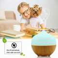 Portable Office Heathy Usage Aroma Humidifer for Essential Oil 2