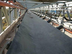 Acid and alkali resistant conveyor belt