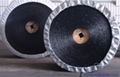 Whole core flame resistant conveyor belt