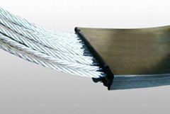 Steel cord conveyer belt