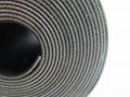 CNSTARCK nylon and polyester conveyor belt 1