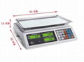 Digital Electronic Price Scale Scales 2