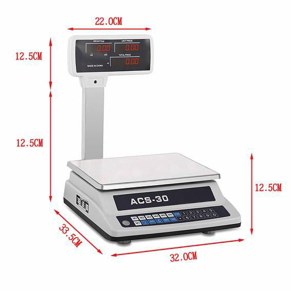 ACS Digital Portable Electronic Scale with Double Display 4