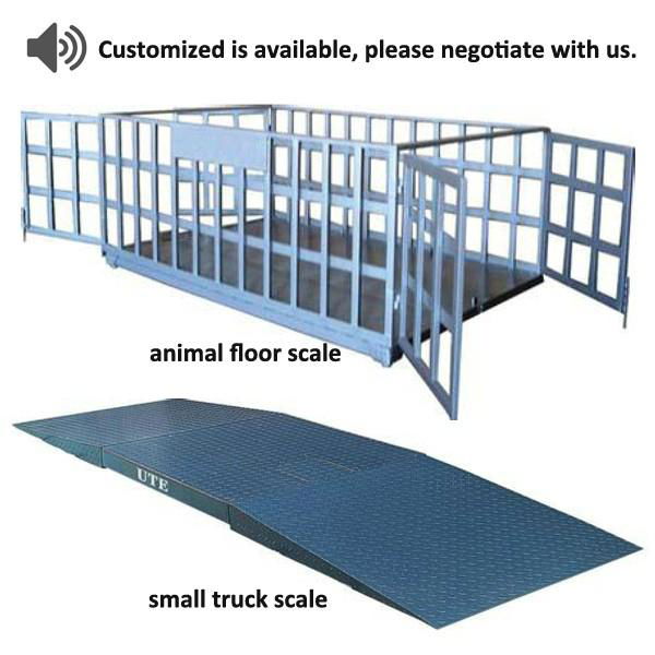 Small Electronic Multifunctional Platform Floor Weighing Scale 2